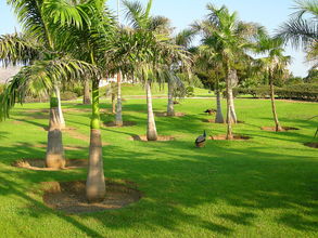 Mestský park v ktorom sa voľne prechádza domáce vtáctvo a králiky