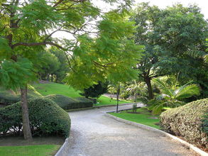 Mestský park v ktorom sa voľne prechádza domáce vtáctvo a králiky