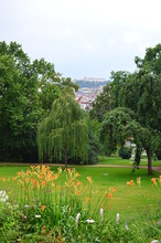 Pohľad z terasy vily Tugendhat 