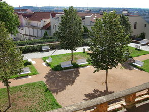 Denisovy sady pri Petrove