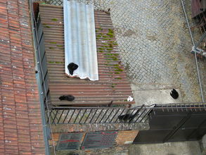 Stražcovia Špilberku