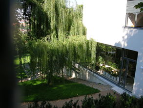 Pohľad do záhrady vily Tugendhat