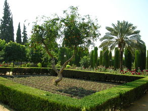 Hrad kresťanských kráľov (Alcázar de los Reyes Cristianos)