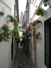 Ulica kvetov (Calleja de las Flores)