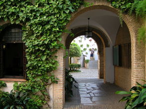 Stará židovská štvrť