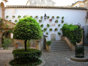 Stará židovská štvrť