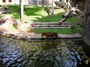 Biopark Fuengirola