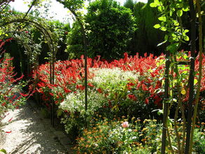 Záhrady Generalife pri Alhambre