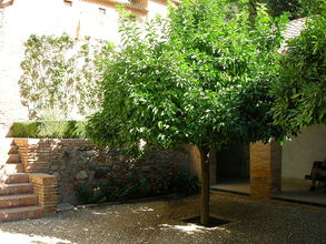 Záhrady Generalife pri Alhambre