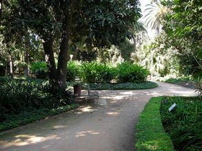 Mestský park (Parque de Malaga)