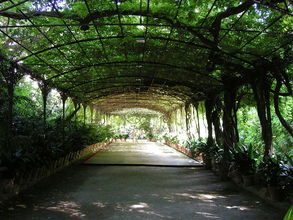 Botanická záhrada La Concepcion