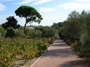 Botanická záhrada La Concepcion