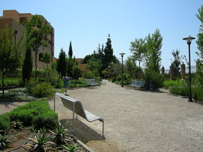 V areále univerzity