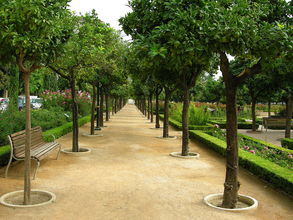 Záhrada pred radnicou