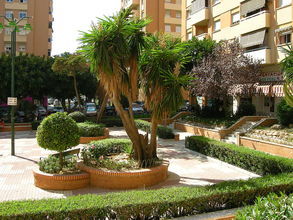 Záhrada medzi obytnými domami v štvrti La Roca