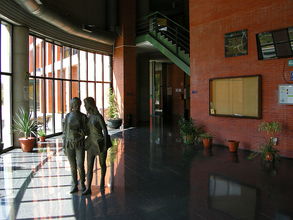 Univerzitná knižnica