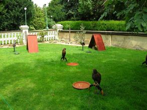 V Kráľovskej záhrade