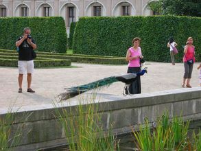 Valdštejnská záhrada