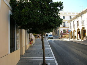 Ulice starého mesta