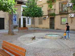 Cordoba